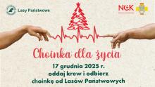 Choinka dla życia: podaruj krew, odbierz świąteczne drzewko