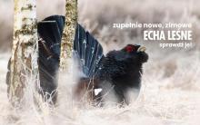 Zimowe "Echa Leśne" już dostępne