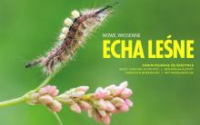 Zapraszamy do lektury wiosennych "Ech Leśnych"